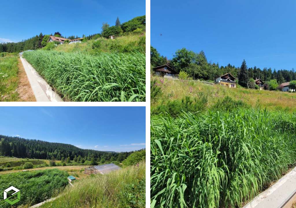 Consultez la chantier : assainissement en phytoepuration aquatitis jardin d'assainissement 80 equivalents habitant eh