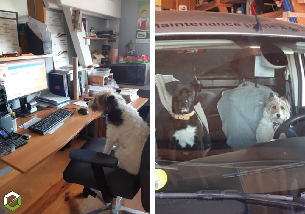 Consultez la chantier : nos mascottes ensem travaillent avec nous !