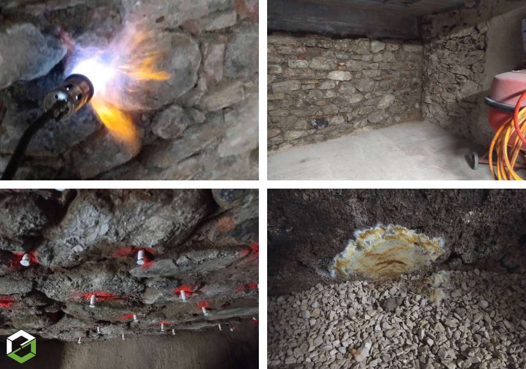 mérule - champignon lignivore dans les murs, jonction vosges et haut-rhin, zone hohneck, gérardmer, xonrupt, la bresse, munster - entreprise rge qualibat