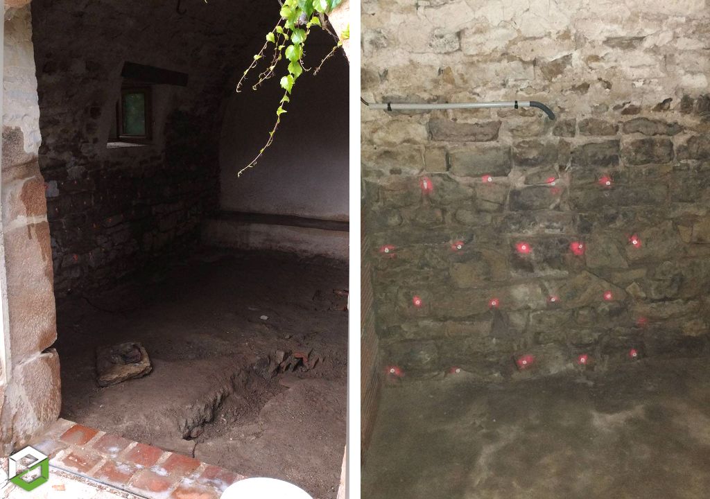 champignon (leucogyrophana) dans un atelier - secteur dole, dijon et besançon - entreprise rge qualibat