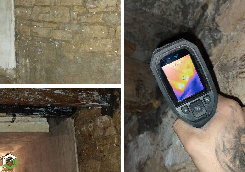 champignon des maisons (coniophore) dans une cave - entreprise rge qualibat