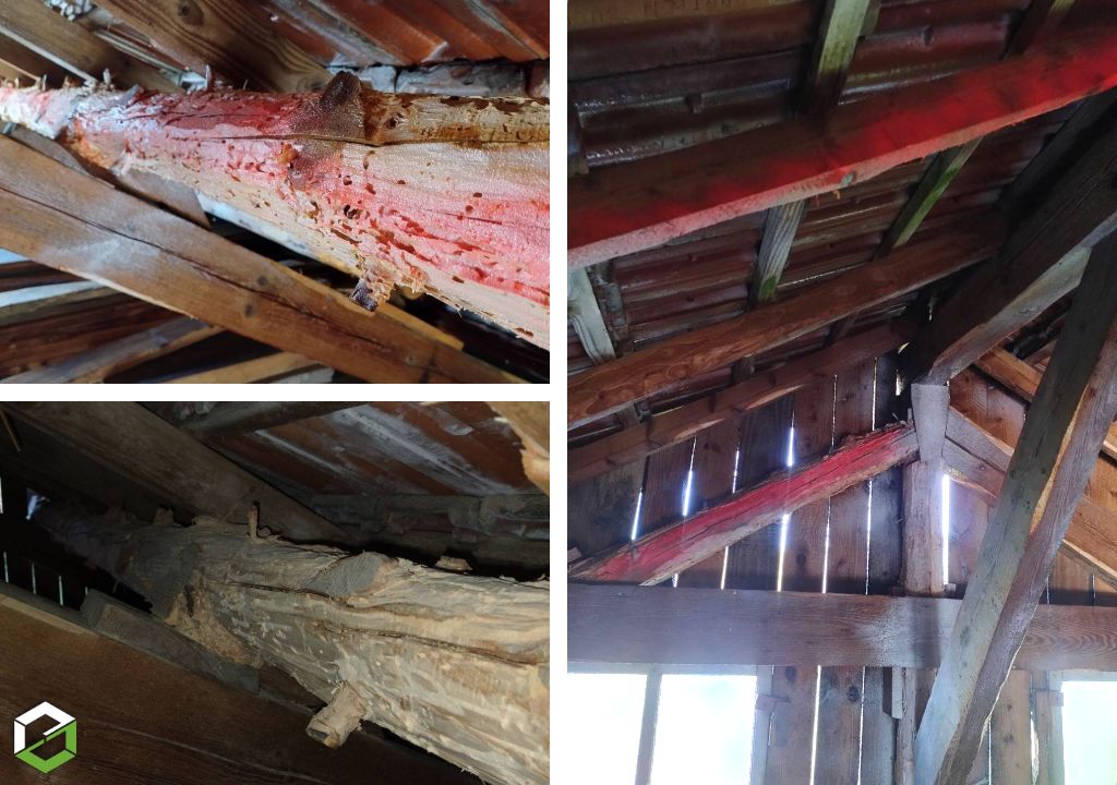 Consultez la chantier : infestation de charpente dans un espace à vivre - proche cornimont, la bresse, gérardmer, remiremont, le thillot -entreprise rge qualibat