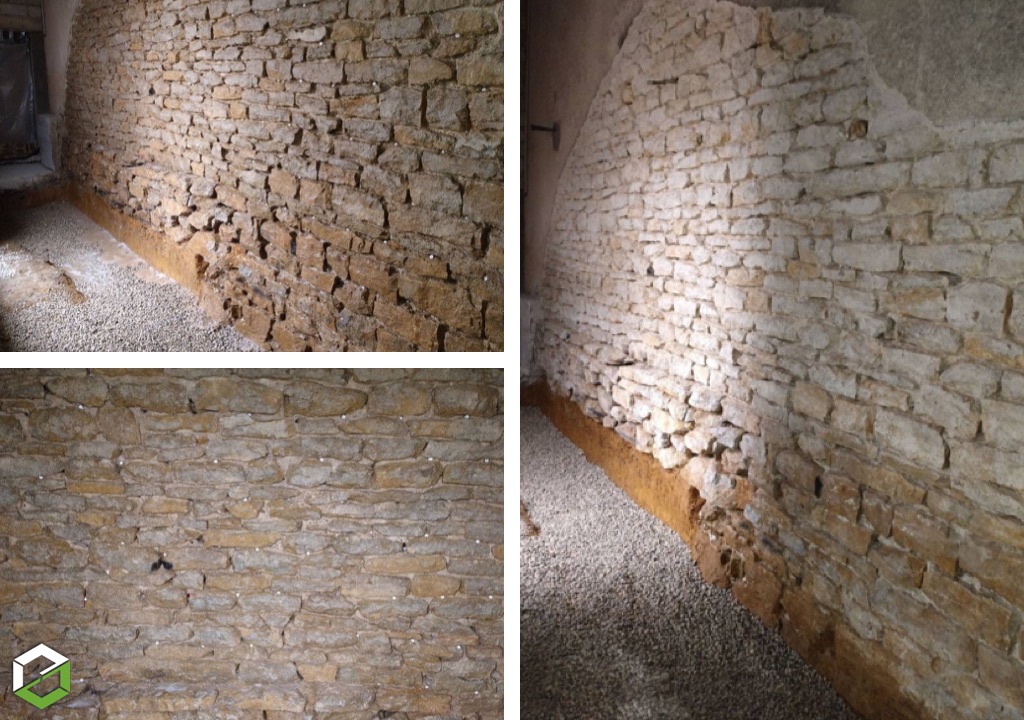 champignon lignivore (mérule) dans les murs et sols d'un appartement - entreprise rge qualibat ctba+