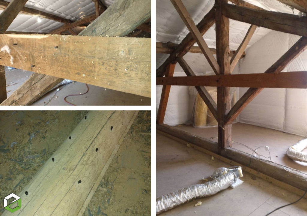 Consultez la chantier : xylophages dans les combles - entreprise rge qualibat ctba+