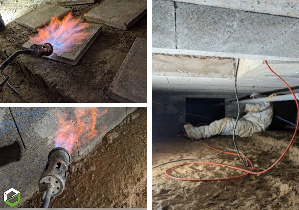 Champignon des maisons (mérule) dans un pavillon mitoyen - Entreprise RGE QualiBAT CTBA+