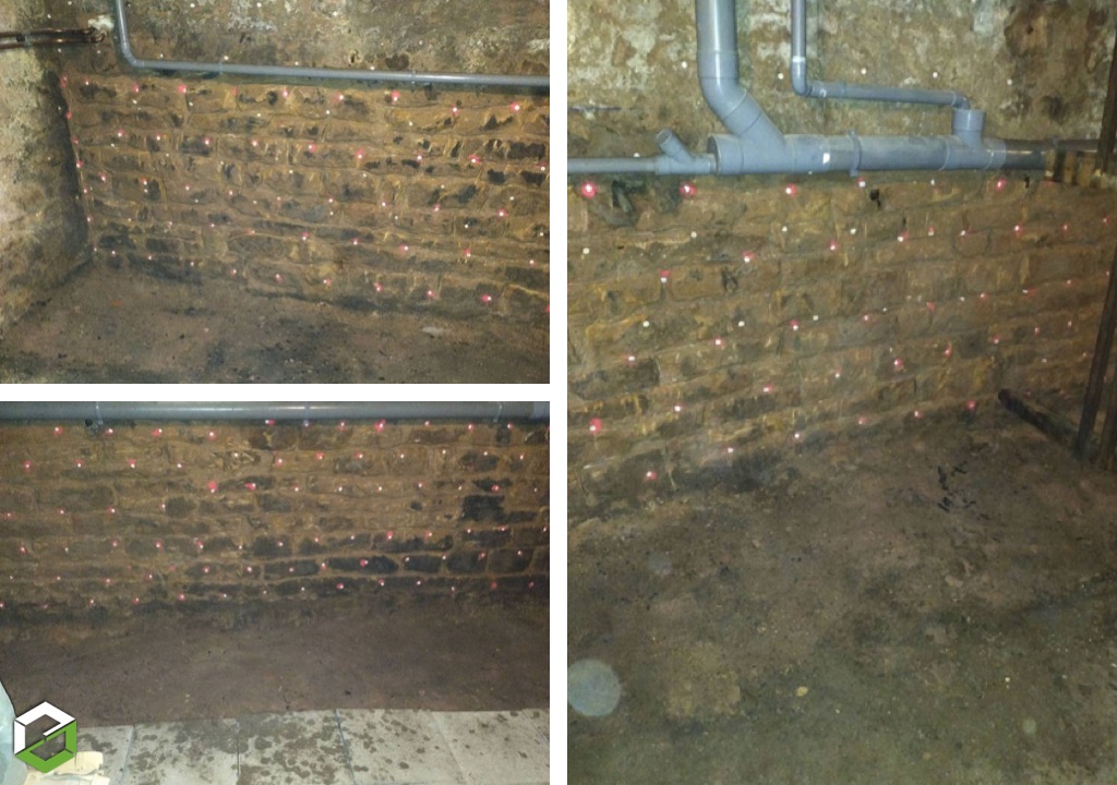 Ets Aubriat SAS : Champignon lignivore (Antrodia) dans la cave d'une maison  - Entreprise RGE QualiBAT CTBA+