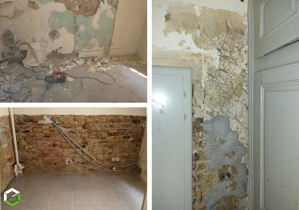 Consultez la chantier : champignon lignivore (coniophore) dans des murs - entreprise rge qualibat ctba+