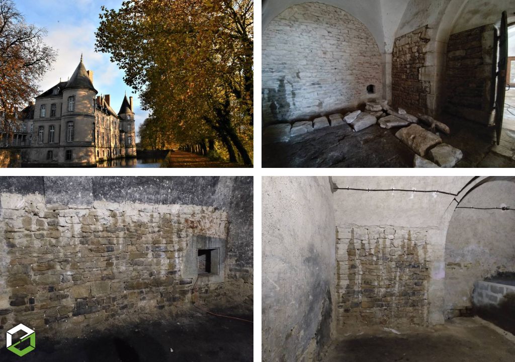 Champignon lignivore (Mérule) au château d'Haroué - Entreprise RGE QualiBAT-Meurthe et Moselle (54)