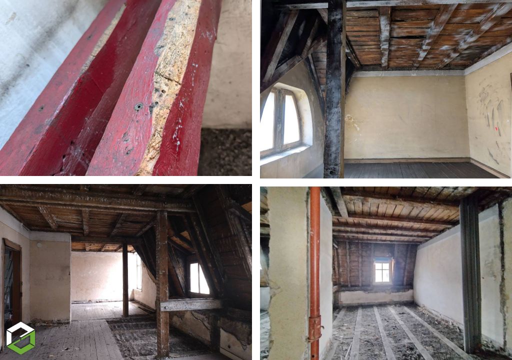 Insectes dans les bois d'un immeuble d'habitation ancien
