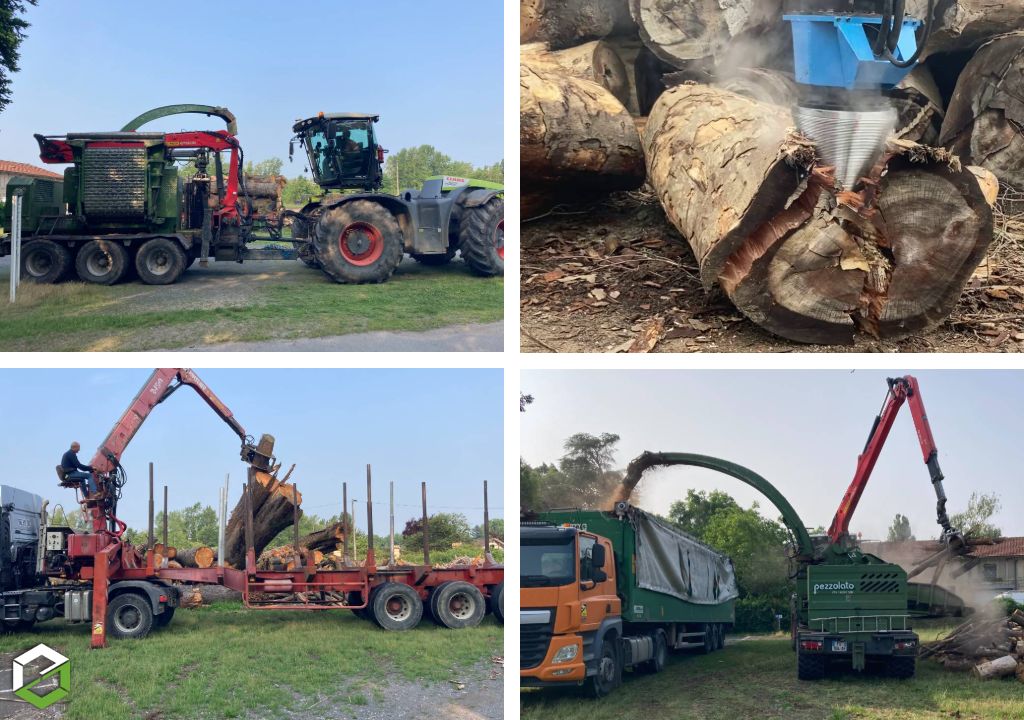 Prestation de broyage d'arbres secs ou dangereux - mise en sécurité d'un parc recevant du public