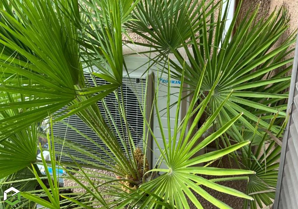 Installation d’un climatiseur mono-split Daikin Perfera